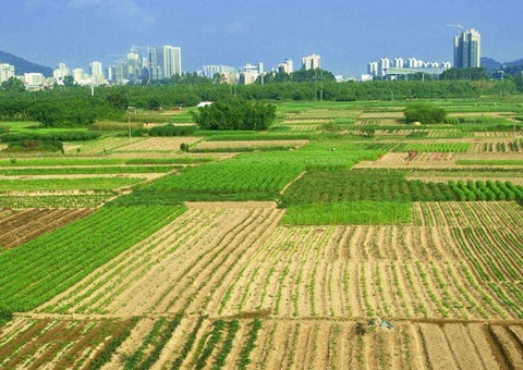 湖北省处置惩罚闲置土地17.81万亩  收回面积居天下第一