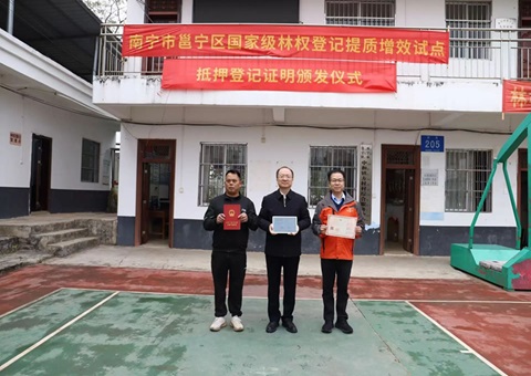 南宁揭晓广西首份国家级林权挂号提质增效试点典质挂号证实