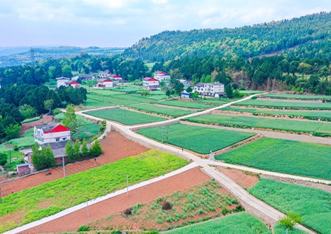 广元市推行“卫星田长”科技助力精准；；；；；；；じ