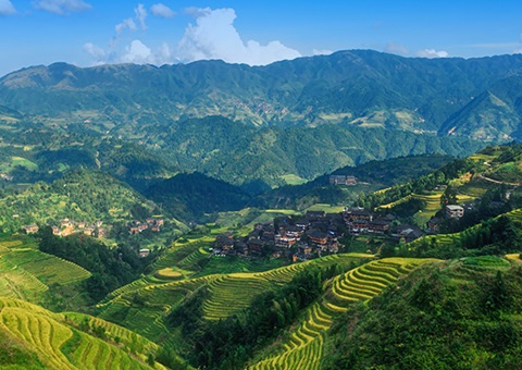 一次性200万元！ 广西在天下率先实验林权挂号财务资金激励