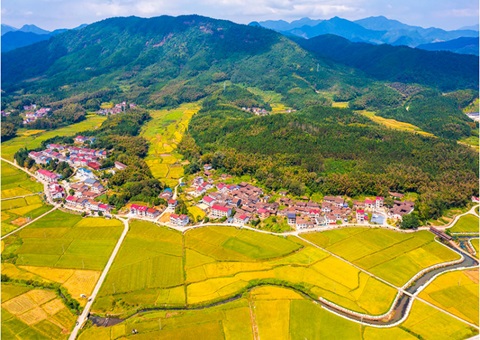 探索农村“土味”生金路——聚焦福建省“农地入市”试点事情