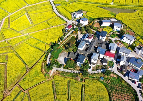 205.7亿元！  四川财务下达2025年衔接推进墟落振兴津贴资金