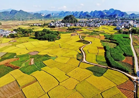 强化“指挥棒”作用  柳州市发放500万元耕地保；；；；；ぁ凹だ彀