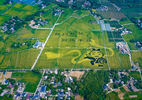 成都宣布耕地；；；；；；；ね耄∥蠢10年这样筑牢“天府粮仓”基本