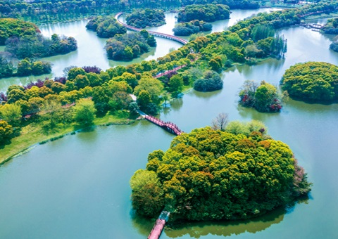 江西省湿地；；；；；ぢ室汛61.99%