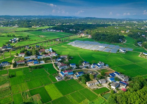 湖南：靶向发力盘活存量土地资产<br>为206家机关企事业单位定制处置惩罚计划，，，，，，，盘活土地2.6万亩