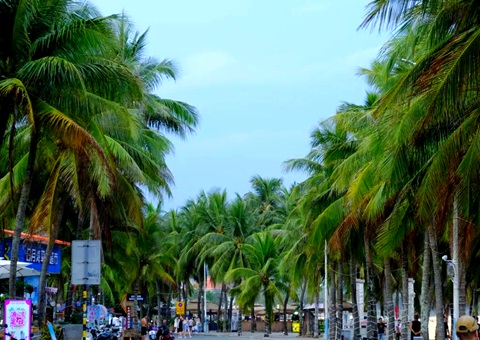 建“清凉都会”，，，，，，，海南有何“凉方”?