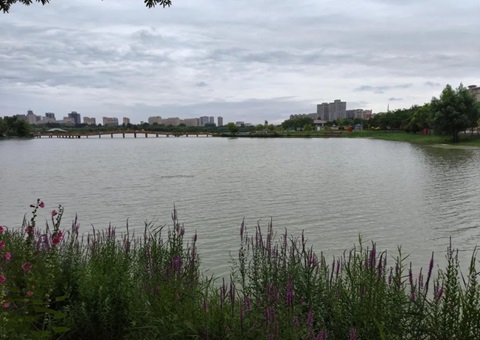 宁夏建设林草湿荒视察监测与领土变换视察协同机制