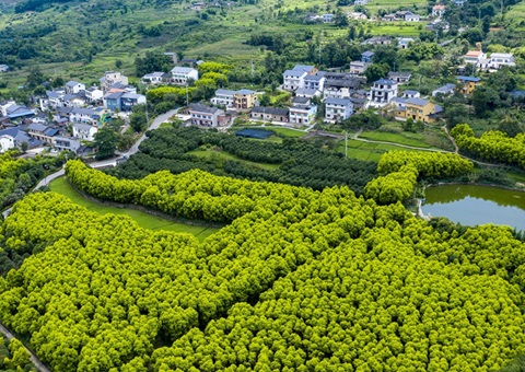 重庆墟落休闲旅游形成点线面立体式生长  建设天下休闲农业重点县8个、中国漂亮休闲墟落90个