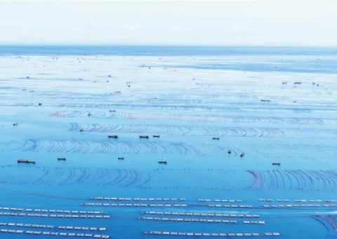 辽宁周全清查海洋资源资产实物量、价值量、使用权——摸清海洋“家底儿”