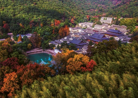 浙江：森林公园生态旅游怎样高质量生长？？？？？？？？